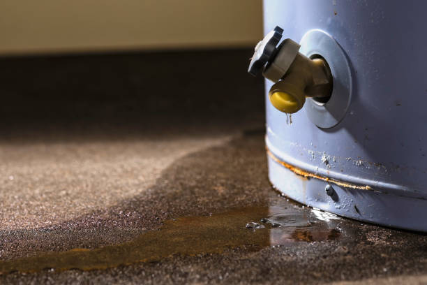 Best Mold removal after water damage  in Archer, FL