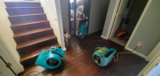 Best Fire Damage Restoration  in Archer, FL