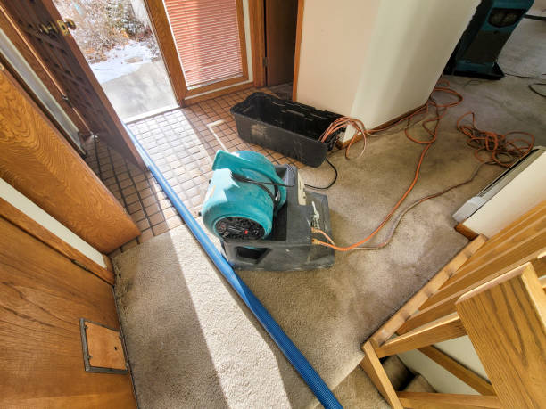  Archer, FL Water damage restoration Pros
