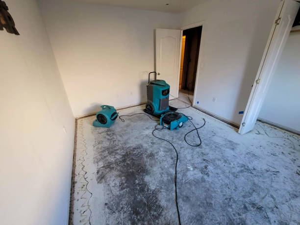 Best Commercial water damage restoration  in Archer, FL