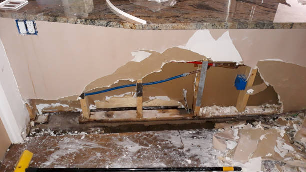 Best Basement water damage restoration  in Archer, FL