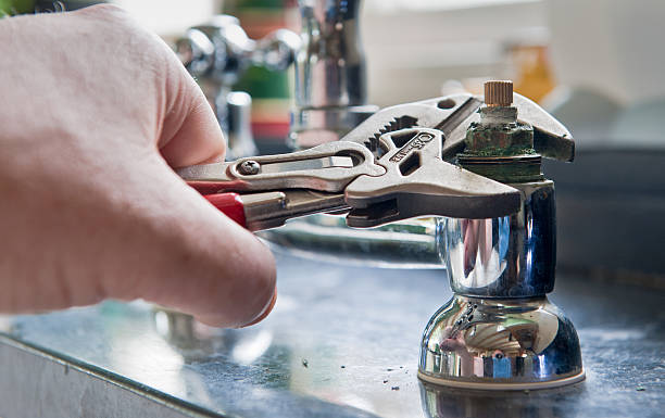 Best Flood restoration services  in Archer, FL