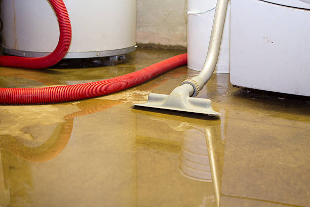 Best Water damage contractors near me  in Archer, FL