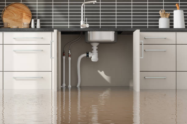 Best Carpet water damage restoration  in Archer, FL