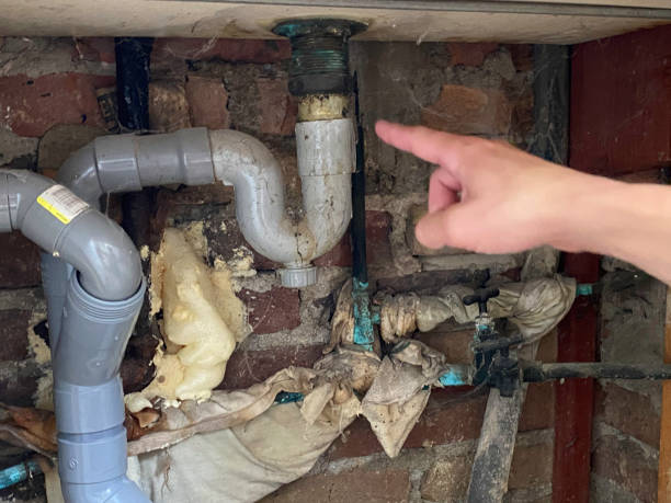 Best Water damage restoration services  in Archer, FL