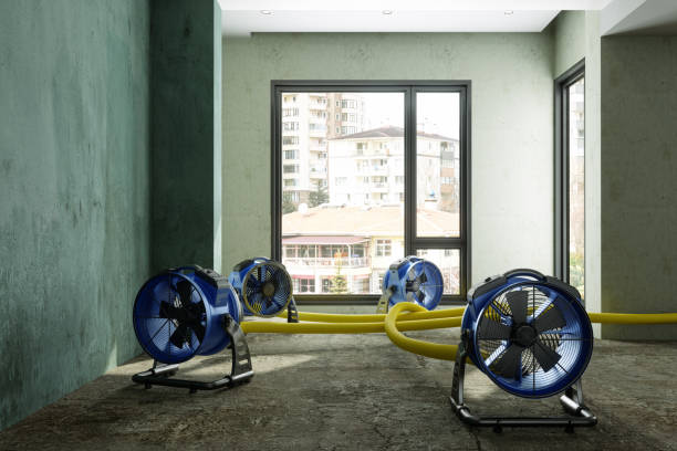 Best Water damage restoration near me  in Archer, FL